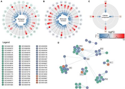 Surviving in the Brine: A Multi-Omics Approach for Understanding the Physiology of the Halophile Fungus Aspergillus sydowii at Saturated NaCl Concentration